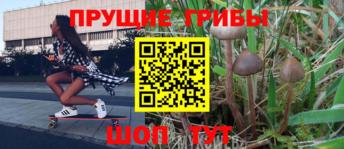 Аргун  Галлюциногенные грибы GOLDEN TEACHER  Вход с VPN 